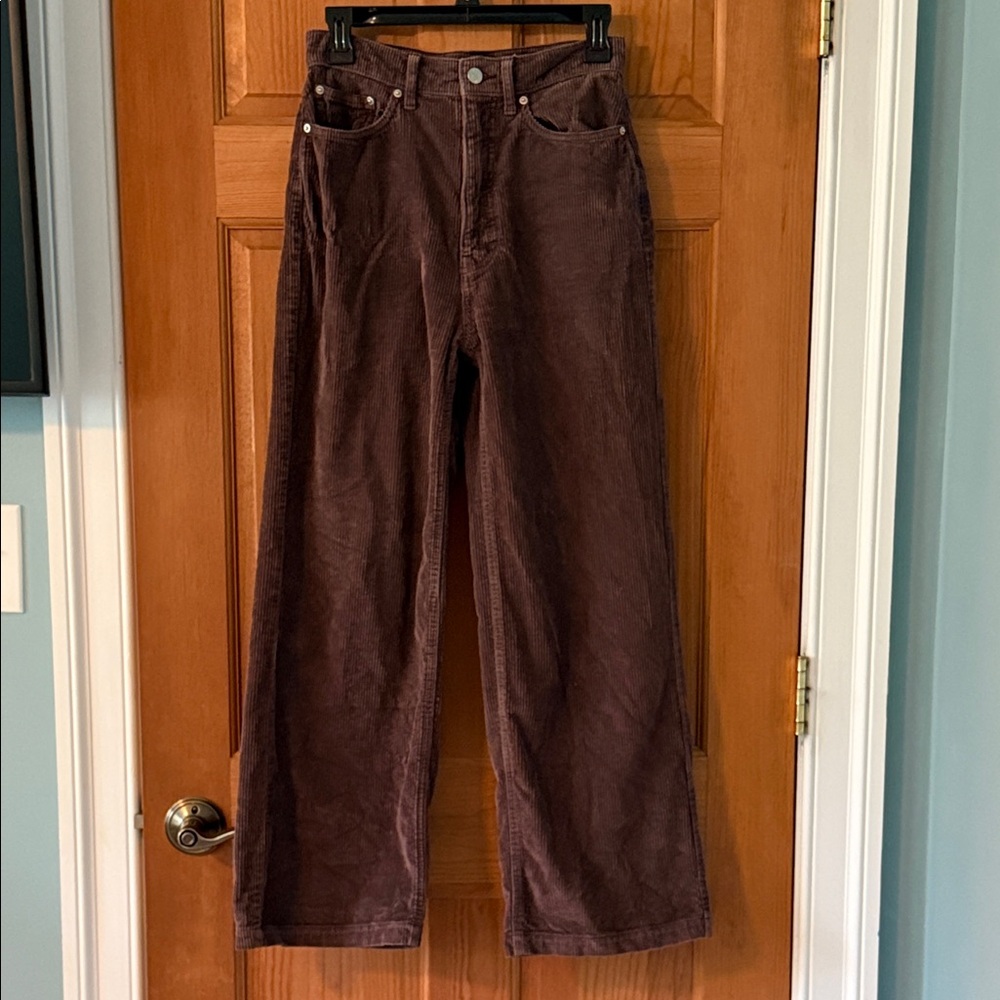 BDG by Urban Outfitters Size 24 Women's  Plum Purple Corduroy Pants High & Wide